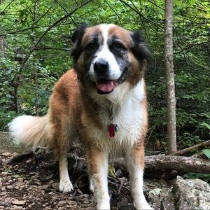 Meet your Posher, Craig